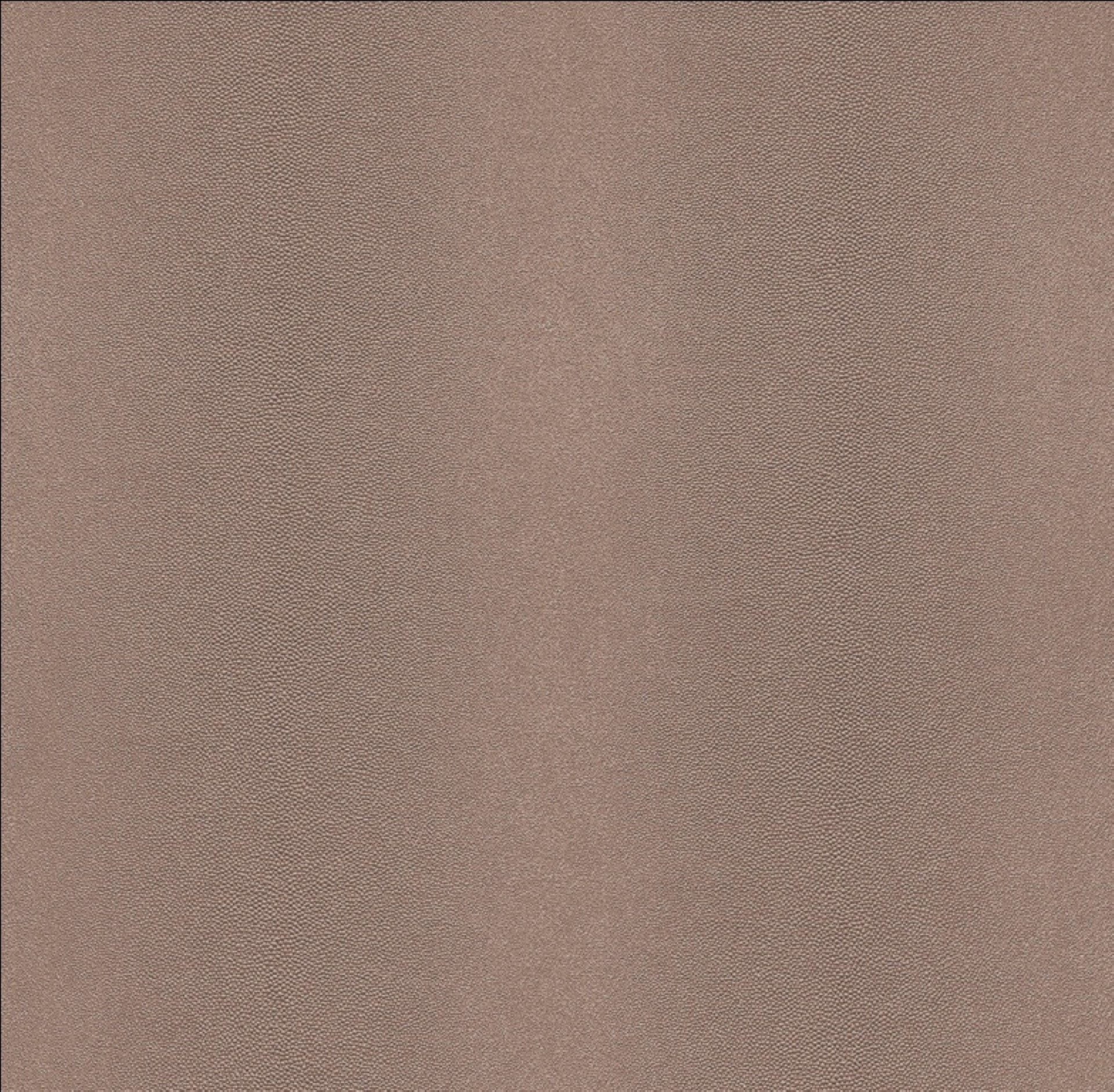 AQ-422757 AFRICAN QUEEN 422757 - Image 1