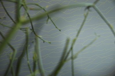 AISSLINGER 95576-3 - Image 2