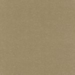 BLACK FOREST 514148 - Image 2