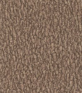 BLACK FOREST 514230 - Image 2