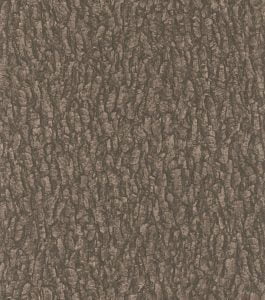 BLACK FOREST 514247 - Image 2