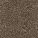 BLACK FOREST 514315 - Image 2