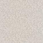 BLACK FOREST 514704 - Image 2