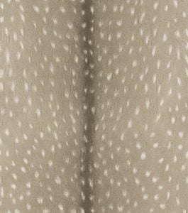 BLACK FOREST 514803 - Image 2