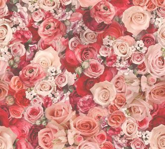 BORNEO 32722-3 - Image 6