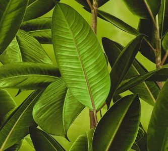 NEUE BUDE 2.0 36201-1 - Image 2