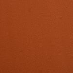 COSMOPOLITAN 576009 - Image 2