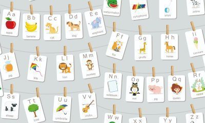 DARAE4 1819-2 - Image 2