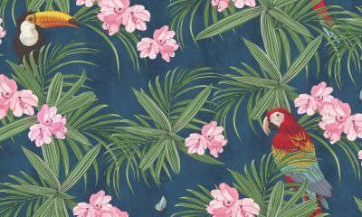 DARAE4 1825-3 - Image 2