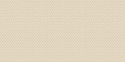 D&D COLLECTION 2020/21 65429-3 - Image 2