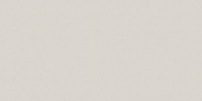 D&D COLLECTION 2020/21 65502-2 - Image 2