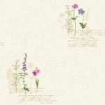 GNI B.O.S VOL.3 / REGENCY 59263-1 - Image 2