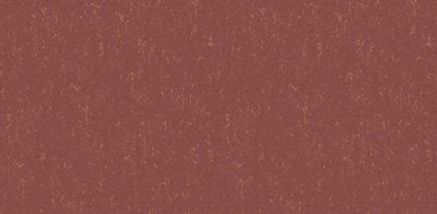 GNI LOHAS VOL. 11 / REVOLUTION 87335-4 - Image 2