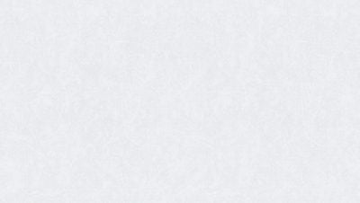 GNI MIXTURE II 81131-2 - Image 2