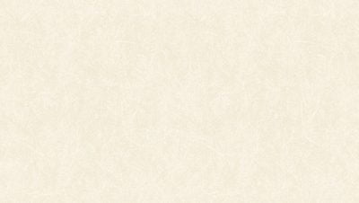 GNI MIXTURE II 81131-4 - Image 2