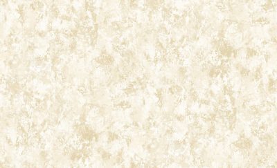 GNI ZENITH 81198-2 - Image 2