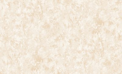 GNI ZENITH 81198-3 - Image 2