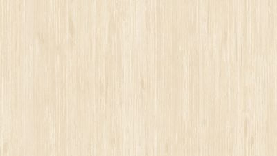 GNI ZENITH 81203-2 - Image 2