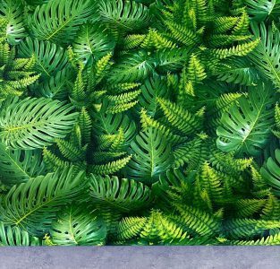 HERA VOL.5 6044-1 - Image 4