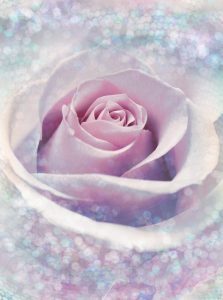 KOMAR INTO ILLUSIONS XXL2-020 - Image 2