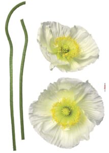 KOMAR STICKER 17022 - Image 2