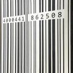 KIDS & TEENS 2016/YOUNG & MARVELOUS- 862508 - Image 4