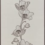 PLAISIR 732238 - Image 2