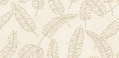 SIGNATURE KOREA 10220-2 - Image 2