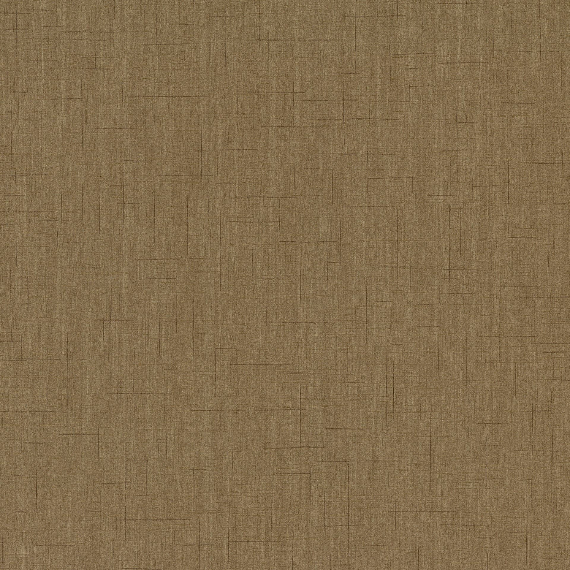 SPOTLIGHT 02461-10