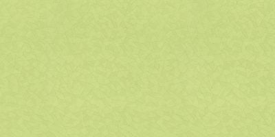 SQUARE 10229-5 - Image 2