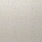 SPECIAL SENSITIVE STYLE VOL.1 10017-2 - Image 2