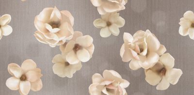 SUPERIOR 10068-5 - Image 2