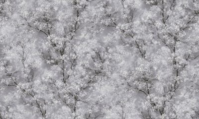 TRENDWALL 37420-1 - Image 7