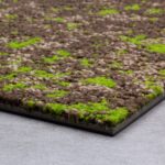 SAMN05 MONET MOSS - Image 4