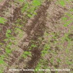 SAWH05 WARHOL MOSS - Image 3