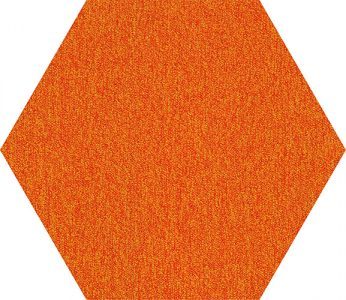 R34-2807 MANUKA - Image 2