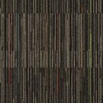 E648 Nectes - Image 3