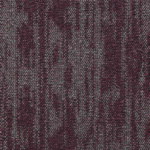 ESSENSA AMPLIFY ES5-005 QUANTIFY - Image 3