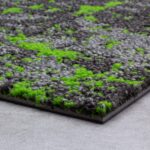 SAMN15 MONET LUSH - Image 3