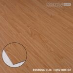 ESV003-02 Ferro - Image 3