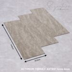 SATR01 TERRA DOVE - Image 2