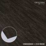 CV2-18030 Ebony Stout - Image 3