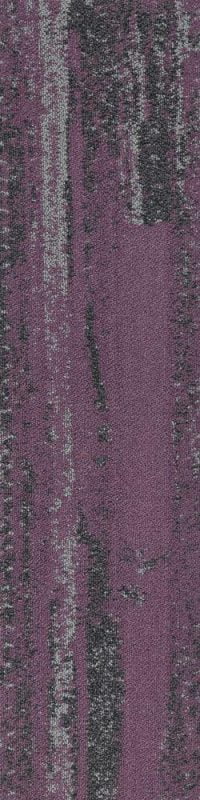 SAVC02-B VINCI PURPLE MAX - Image 5