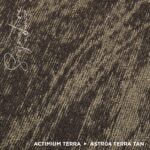 SATR04 TERRA TAN - Image 3