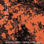 SAMN09 MONET ORANGE - Image 2