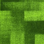 SAPX11 PIXA GREEN - Image 2