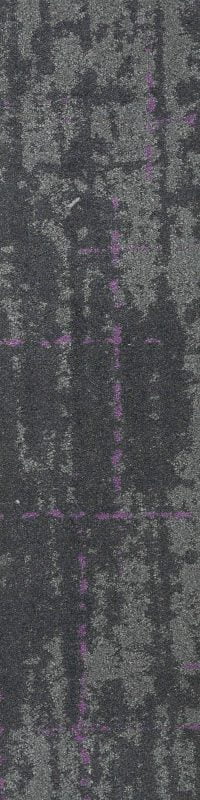 SAMN07 MORPH PURPLE MIN - Image 4