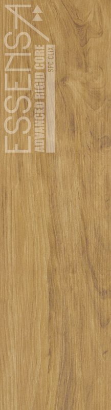 ESV006-05 Yanis - Image 5