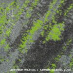 SAWH15 WARHOL LUSH - Image 3