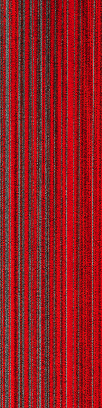 R37-7851 DARIA - Image 2